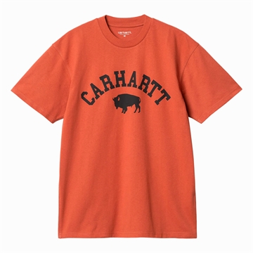 Carhartt WIP T-shirt Locker s/s Phoenix / Black